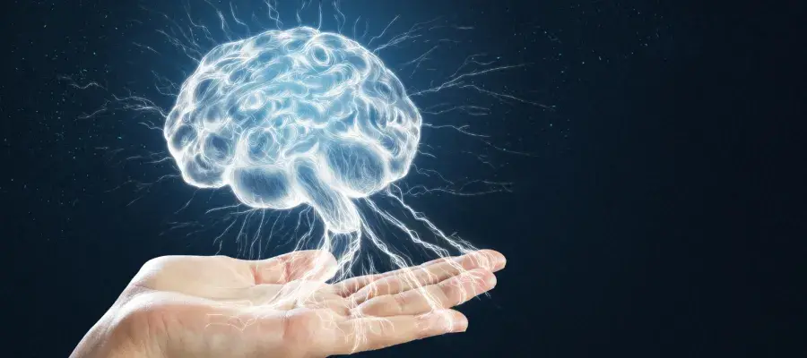 Hand holding digital image of brain