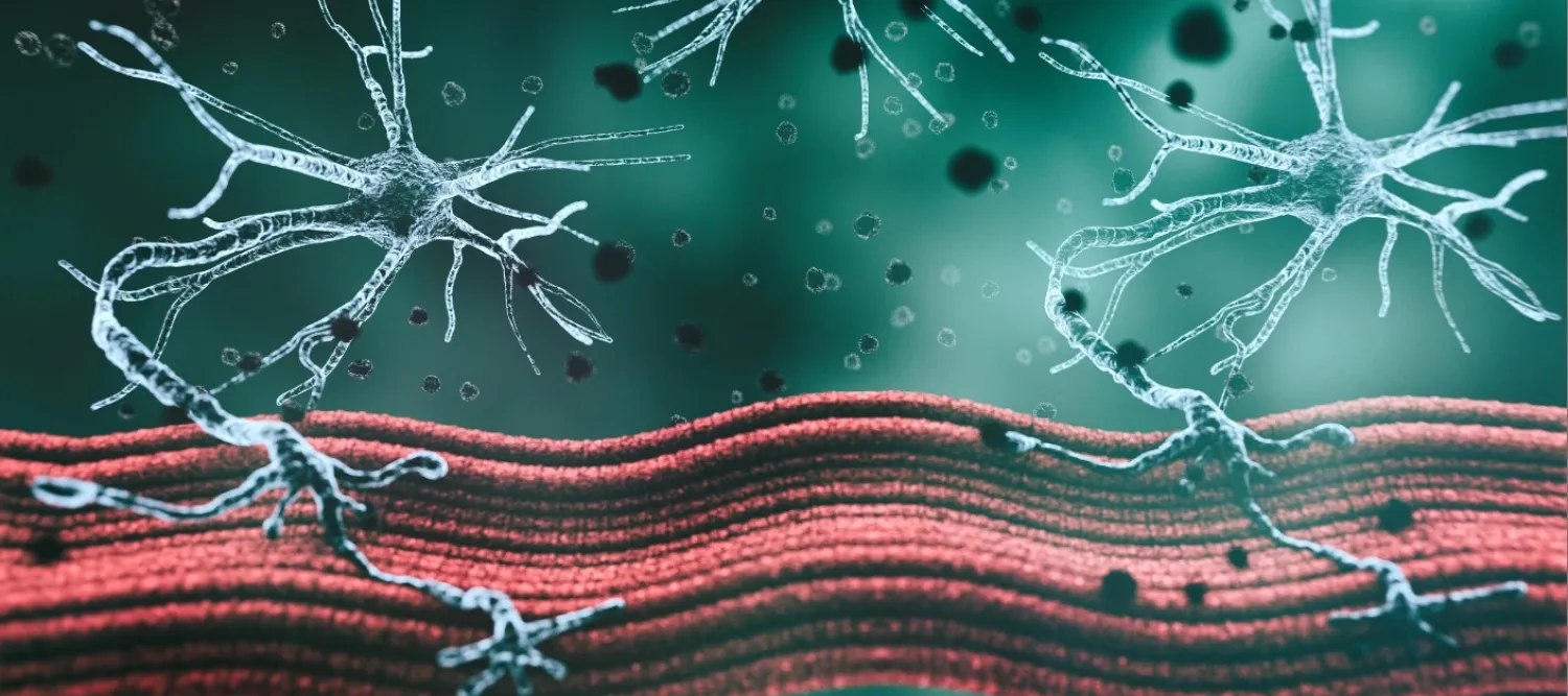 neuromuscular conditions