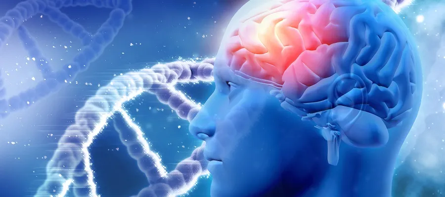Image of brain and genes