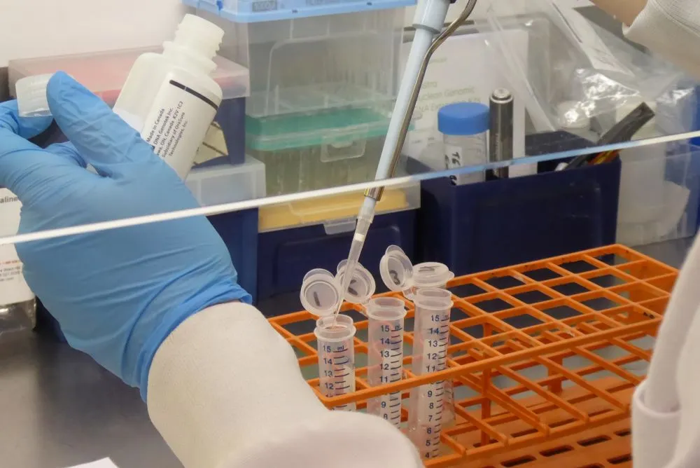Kirsty, a lab scientist, pipetting a solution into saliva samples for DNA Extraction
