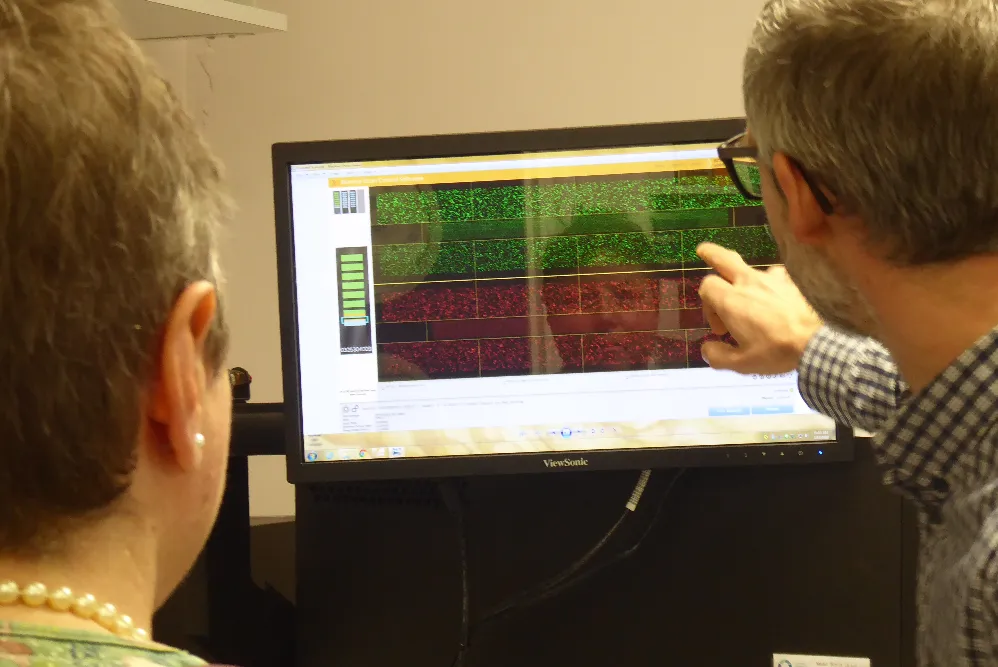 Dot, our volunteer, looking at methylation graph