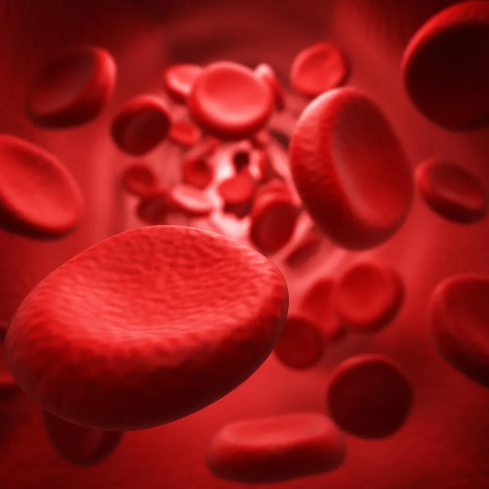 Blood cells