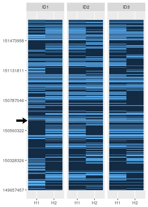 Haplotype - Rare Variant