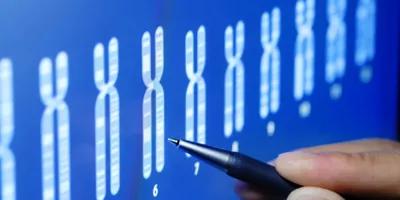 complex trait genetics