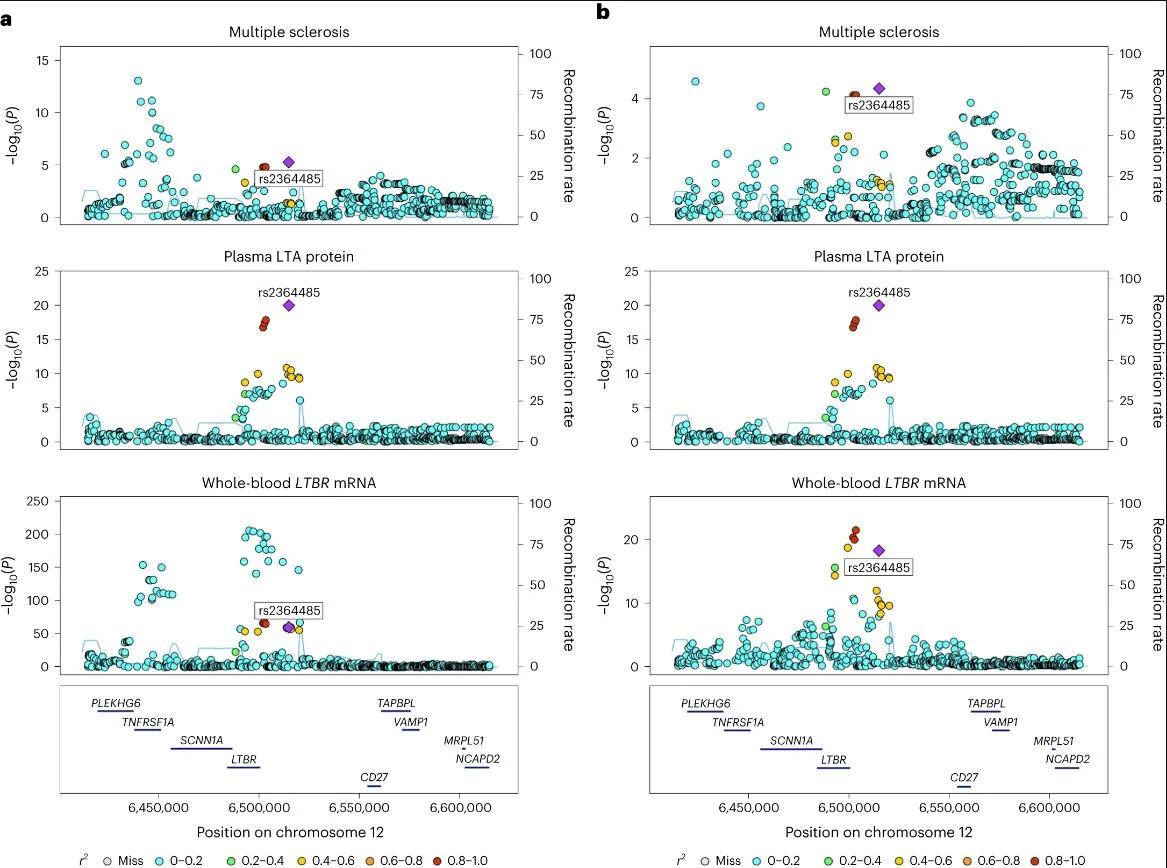 Graphs of proteins associated with multiple sclerosis