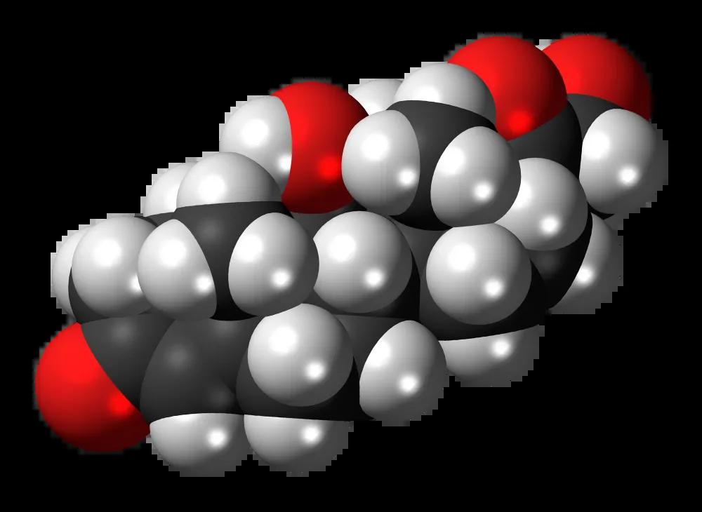 Cortisol molecule in 3D