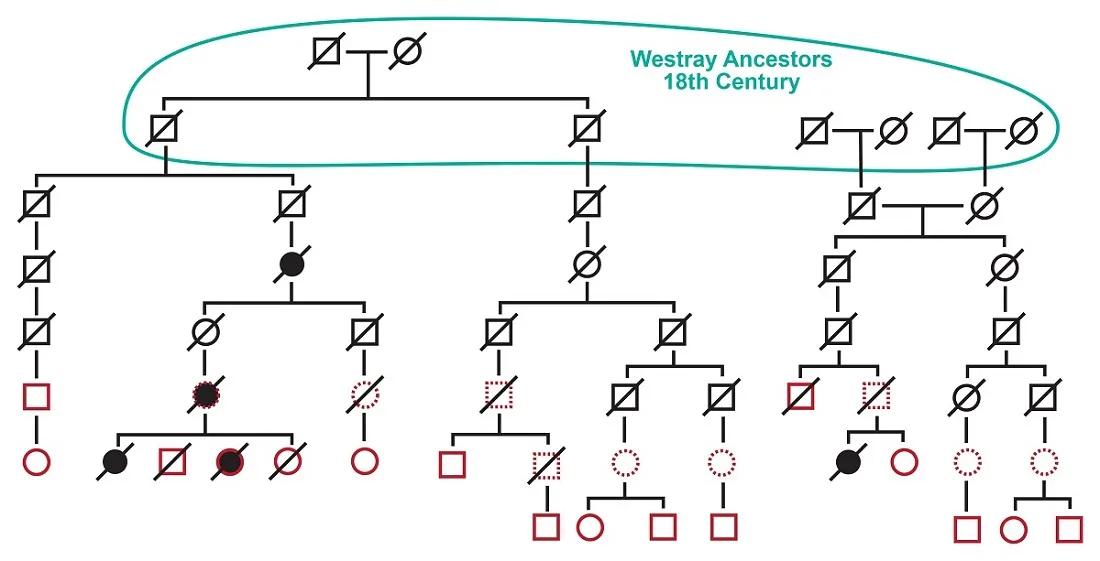 Figure 2 by S. Kerr