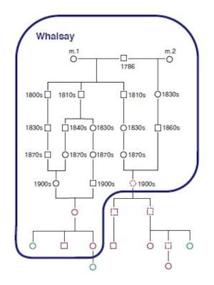 Whalsay BRCA2 gene tree