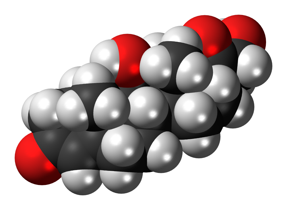 Cortisol molecule in 3D