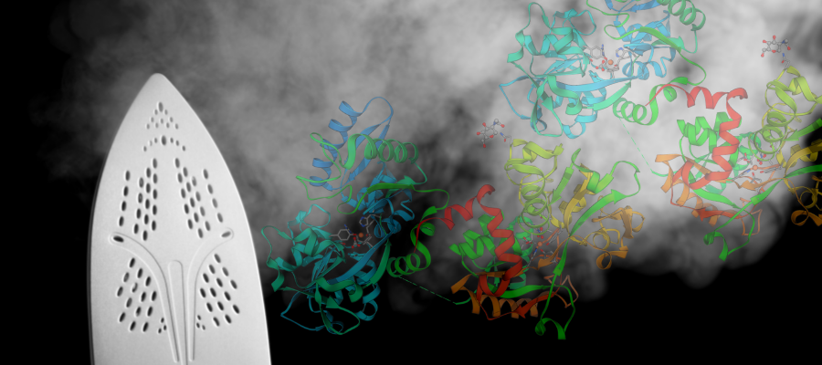 Ironing out our understanding of glycosylation | VIKING Genes | Viking ...
