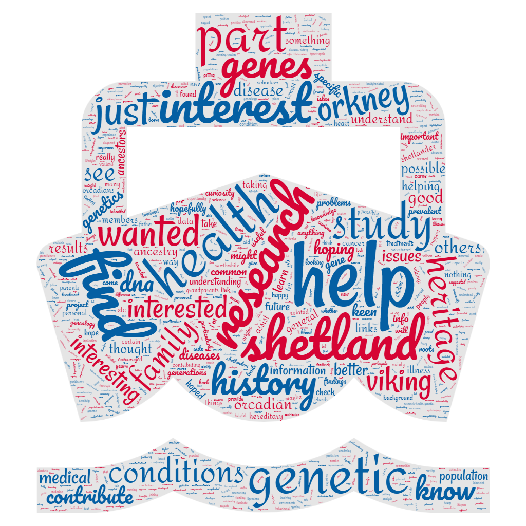 Word cloud shaped like boat listing why people joined Viking Genes
